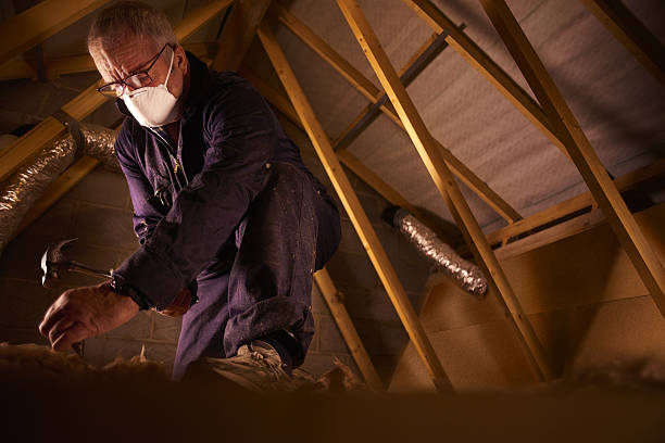 Best Spray Foam Insulation  in Lake Wilderness, VA